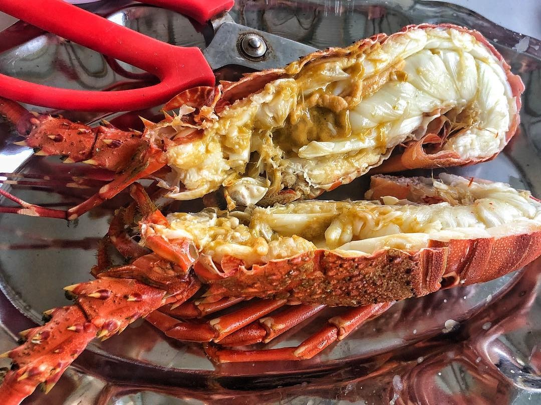 tom hum bong phu yen anh 6