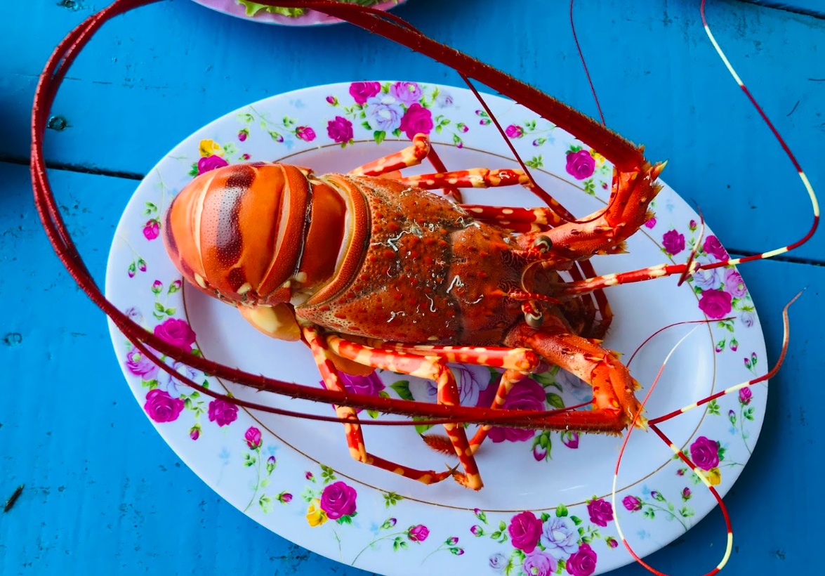 tom hum bong phu yen anh 1