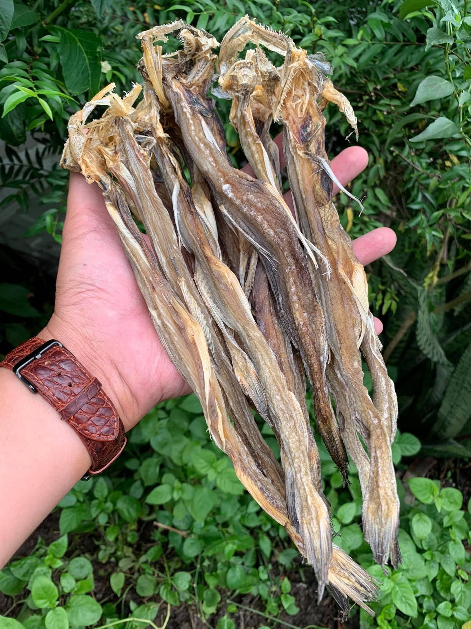 dac san ca khoai anh 7