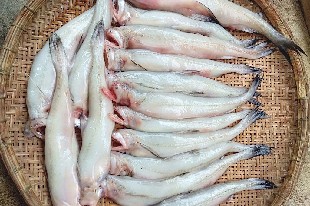 Cac dac san che bien tu ca khoai hinh anh