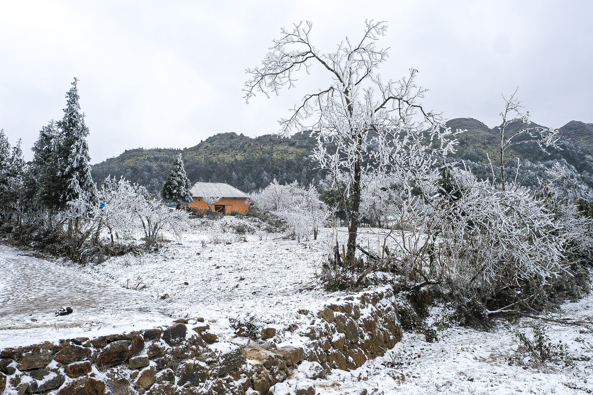 du lich lao cai anh 4