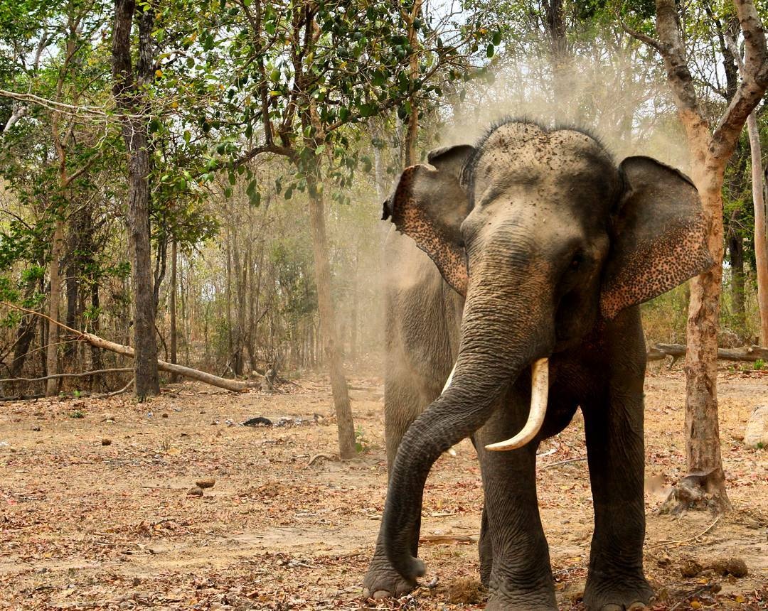 vuon quoc gia yok don anh 1