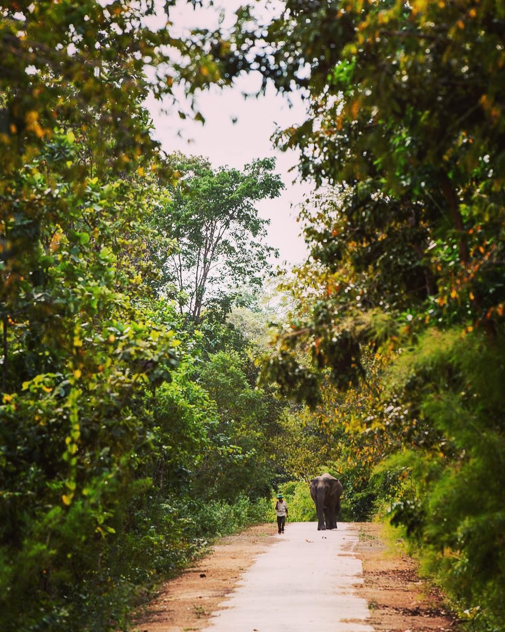 vuon quoc gia yok don anh 3