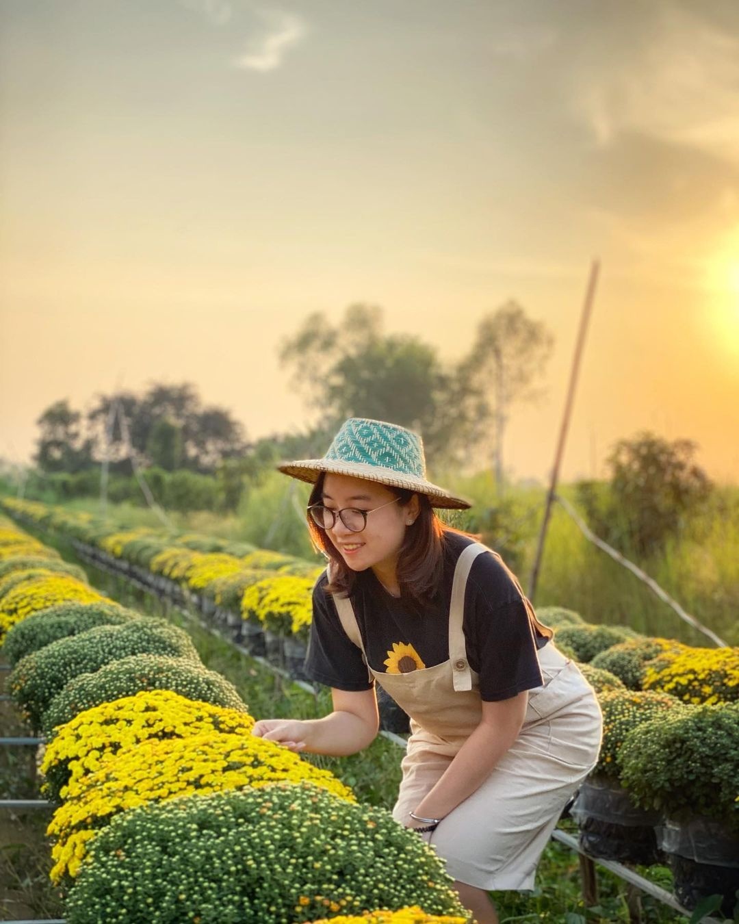 quyt hong lai vung anh 5