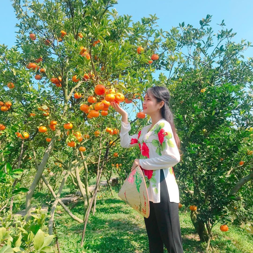 quyt hong lai vung anh 1