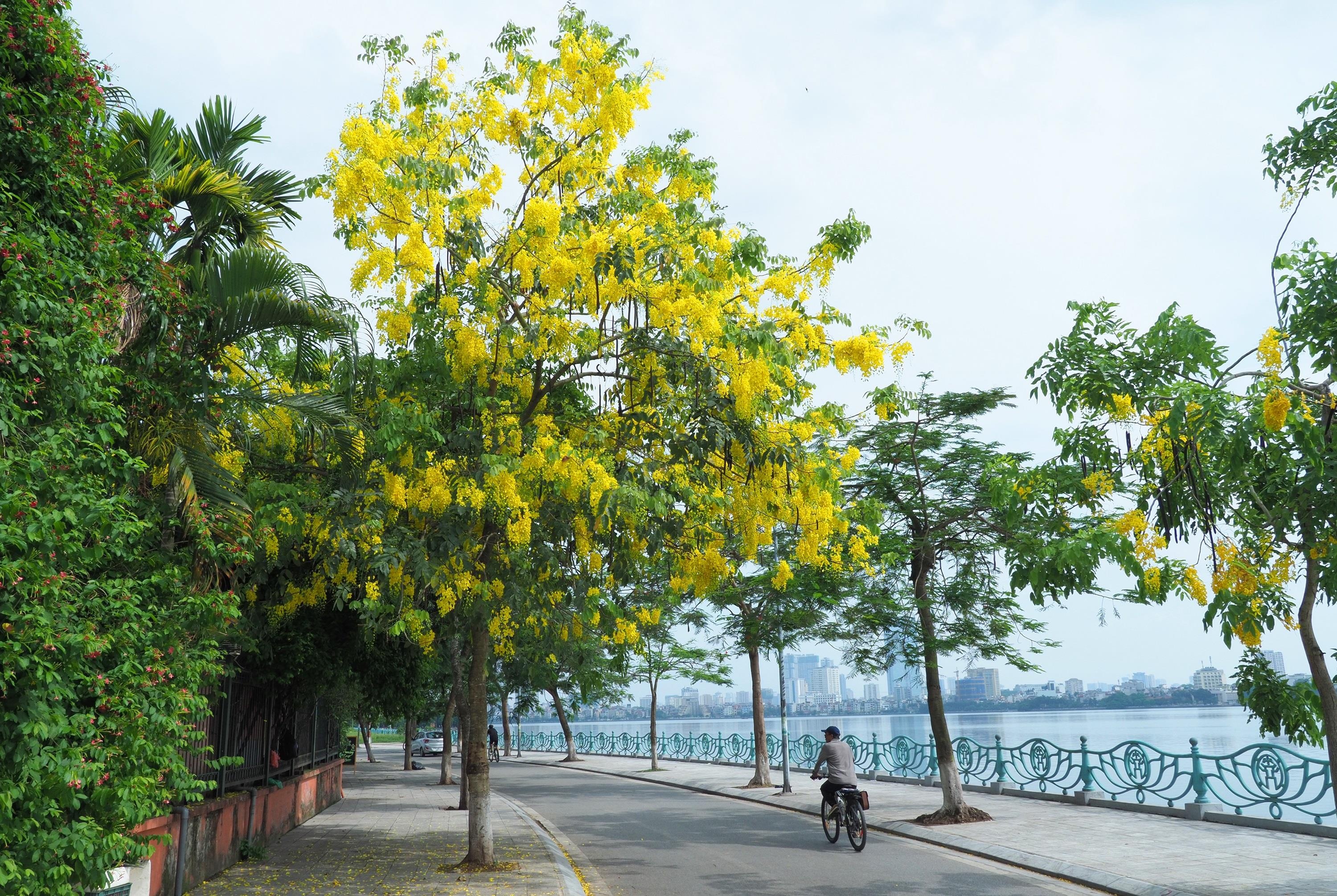 ho tay o ha noi anh 2