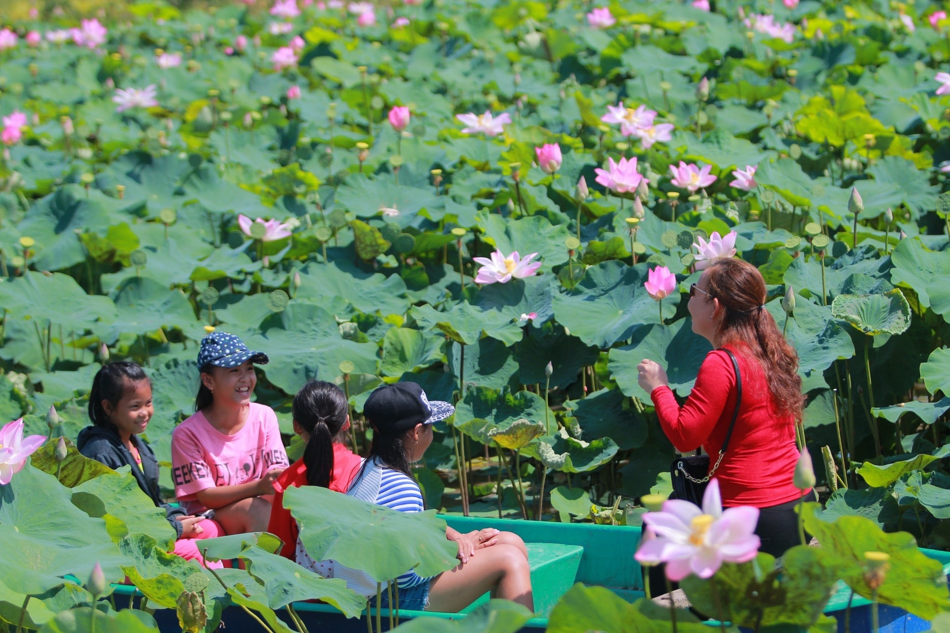 du lich viet nam anh 2