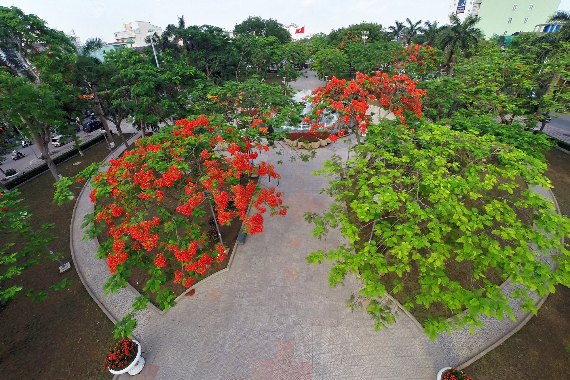 du lich viet nam anh 1