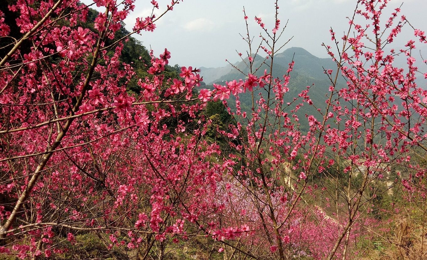 du lich viet nam anh 5