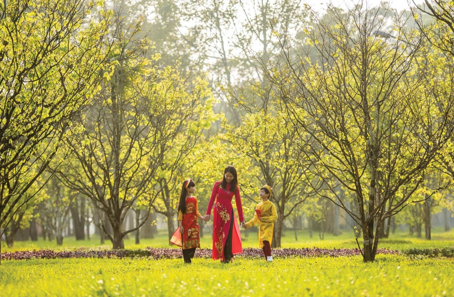 du lich viet nam anh 4