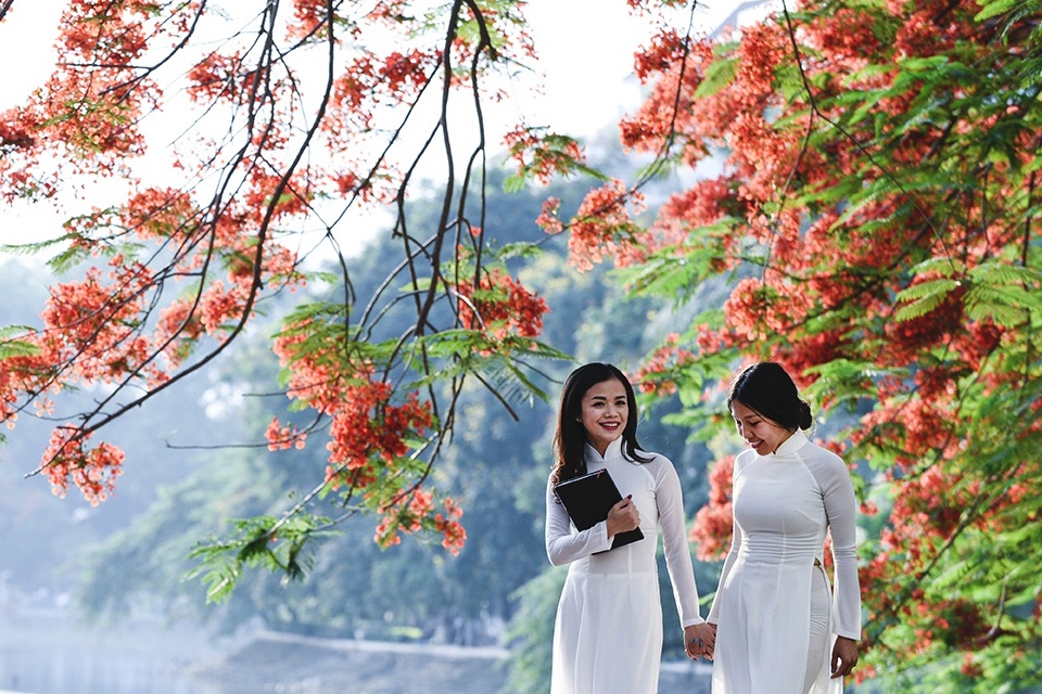 Nhung loai hoa bieu tuong o cac dia phuong hinh anh