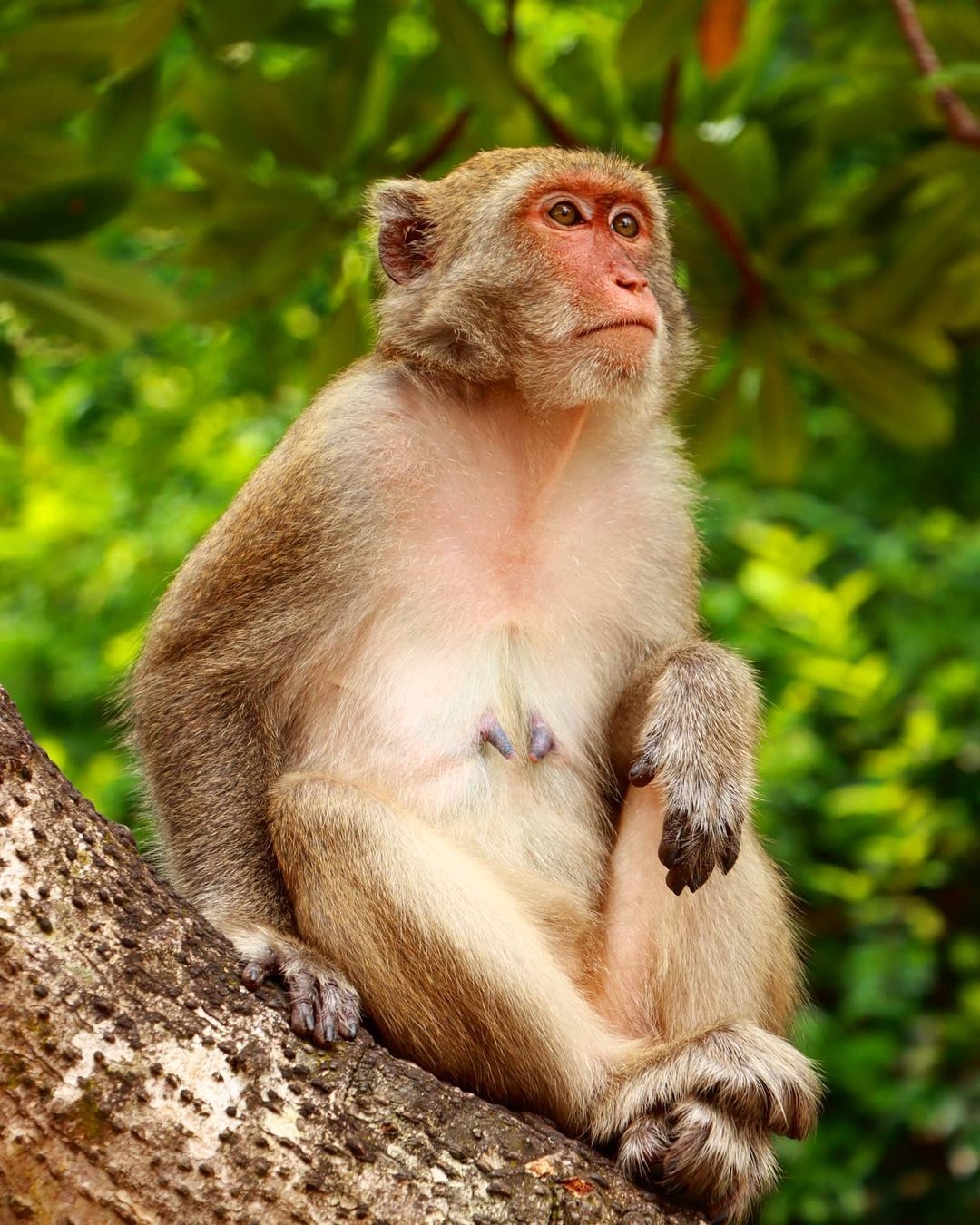 du lich bien dao anh 5