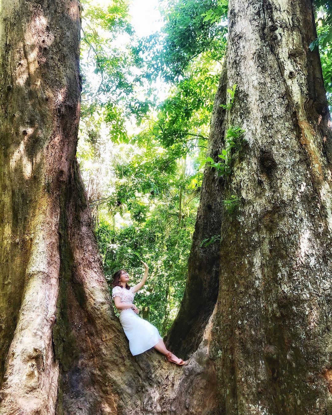 vuon quoc gia o viet nam anh 4