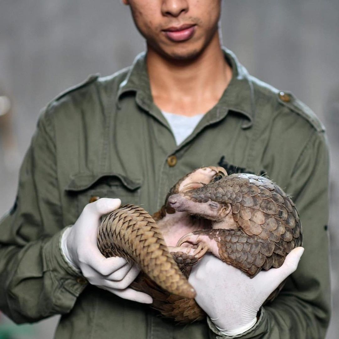 vuon quoc gia o viet nam anh 5