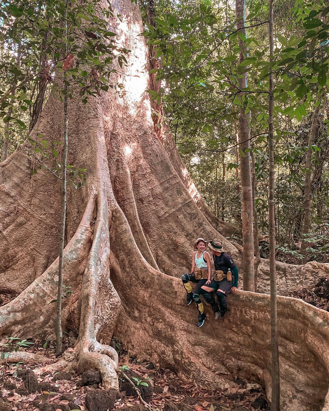 vuon quoc gia o viet nam anh 6