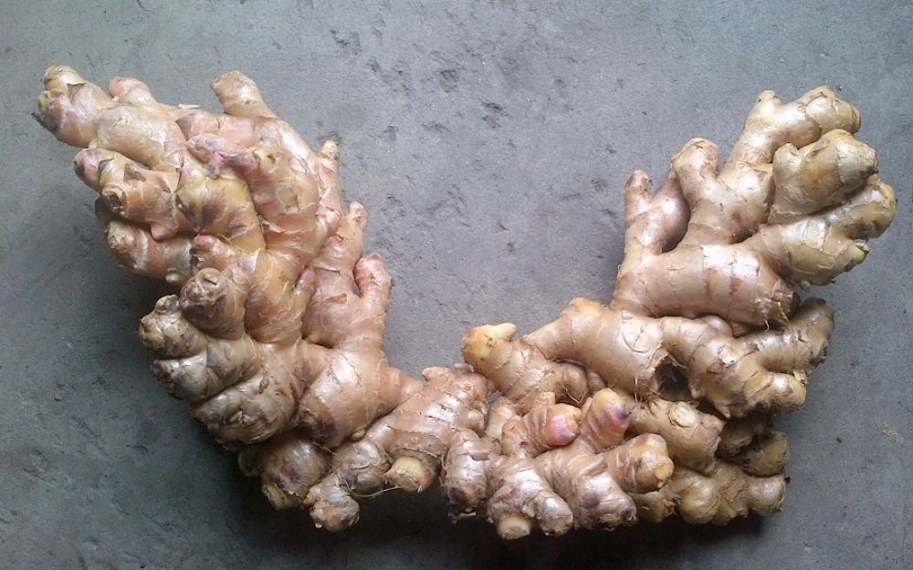 dac san nghe an anh 2