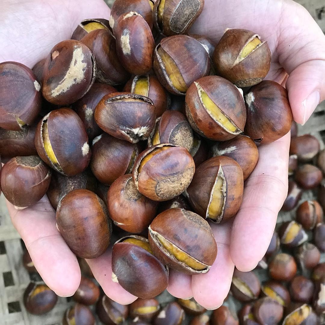 dac san cao bang anh 6