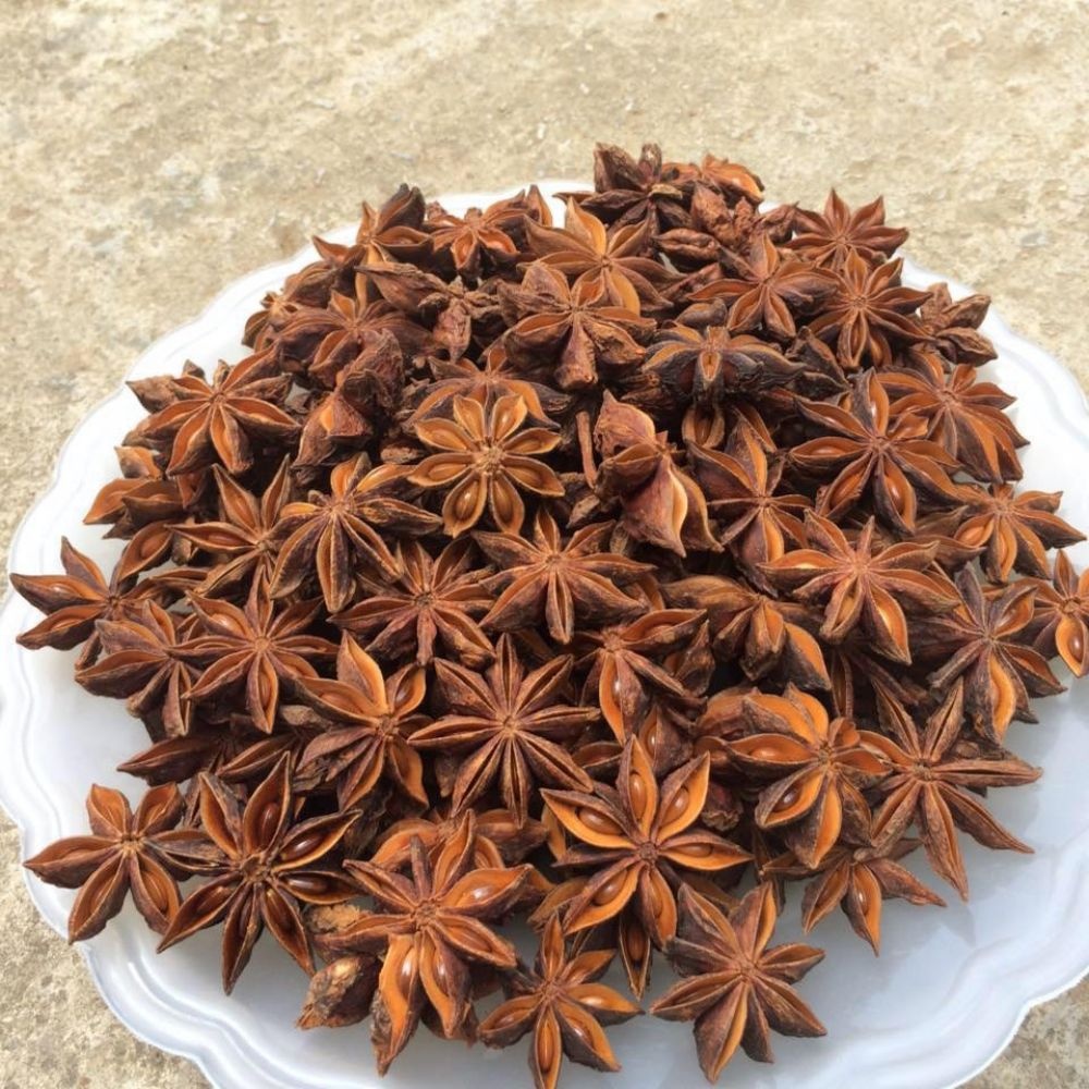 hoa hồi lạng sơn ảnh 1 hoa hoi lang son anh 1