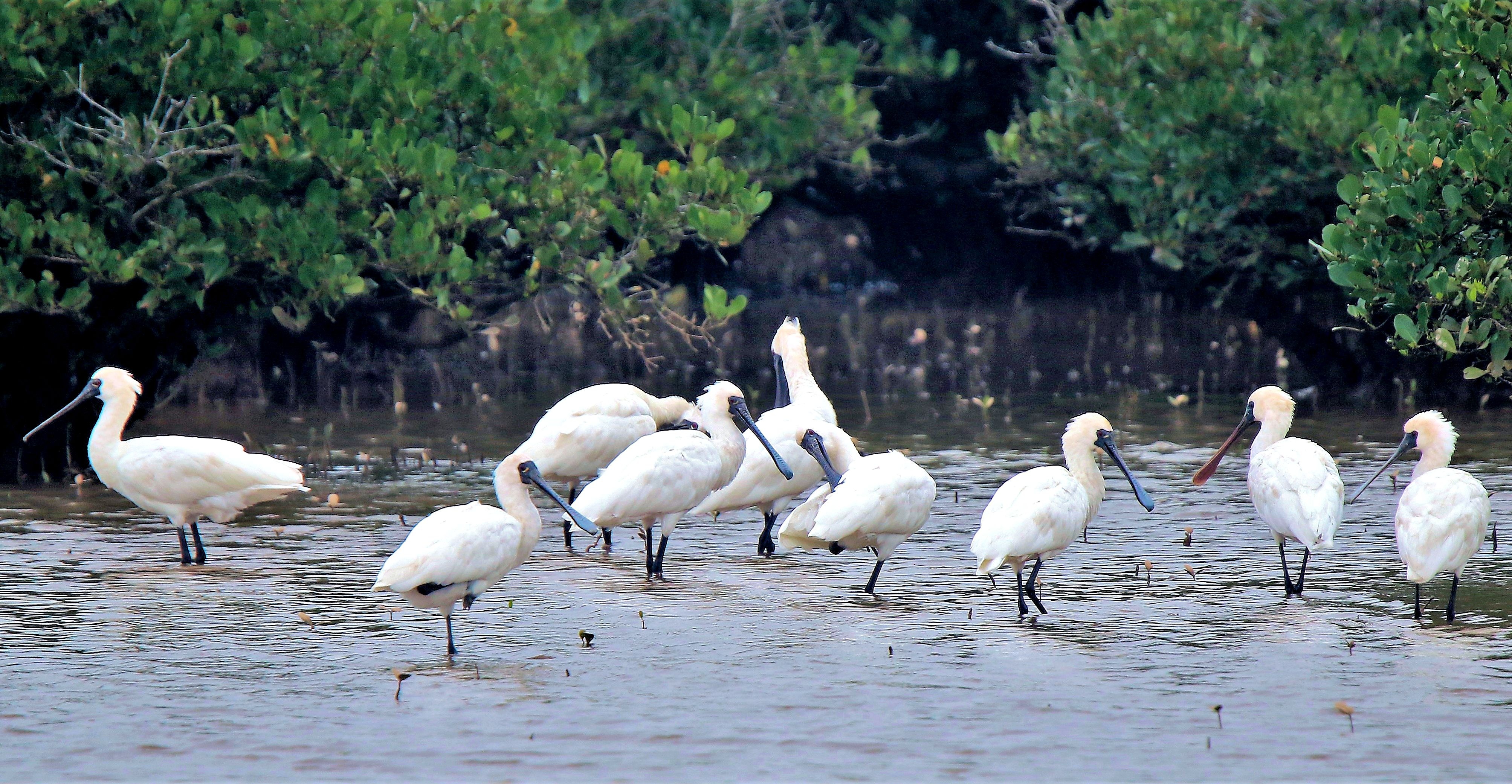 vuon quoc gia xuan thuy anh 1