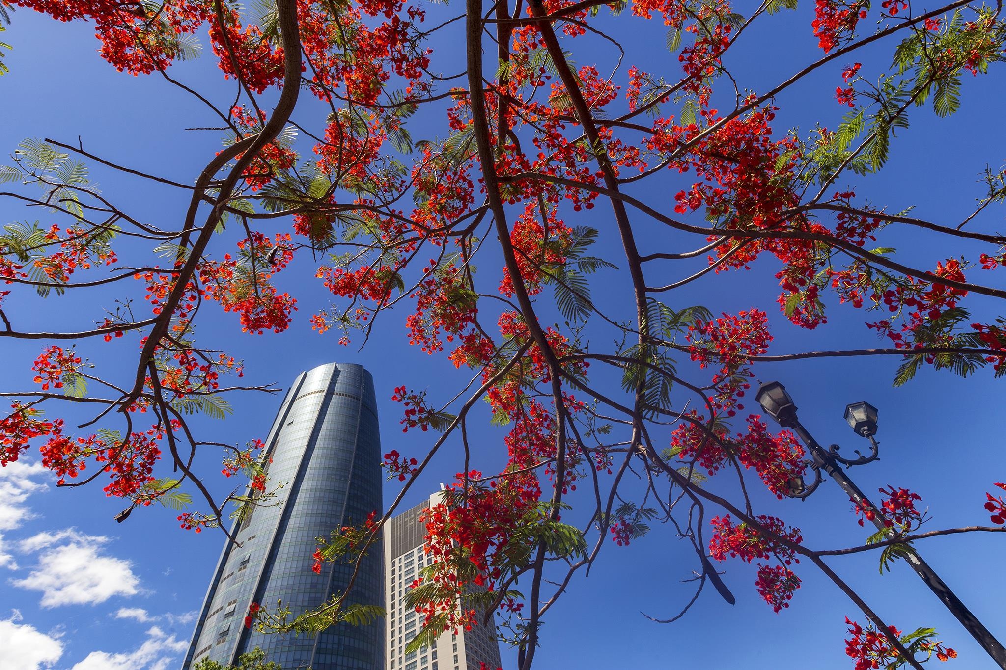 du lich da nang anh 3