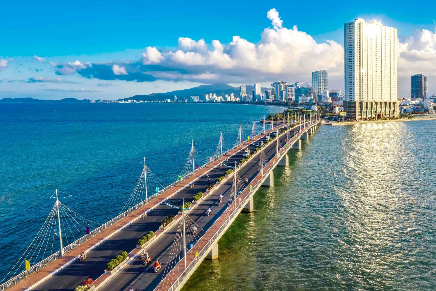 Nhung cay cau o mien Trung nam tai noi song do ra bien hinh anh