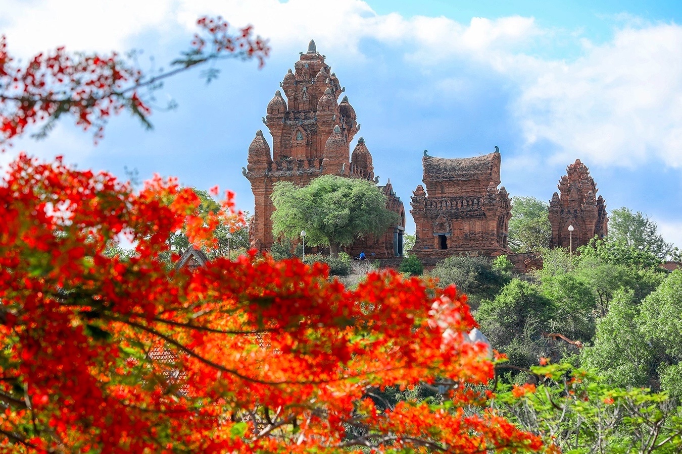 Tinh duy nhat trong ca nuoc chi co 3 thi tran? hinh anh