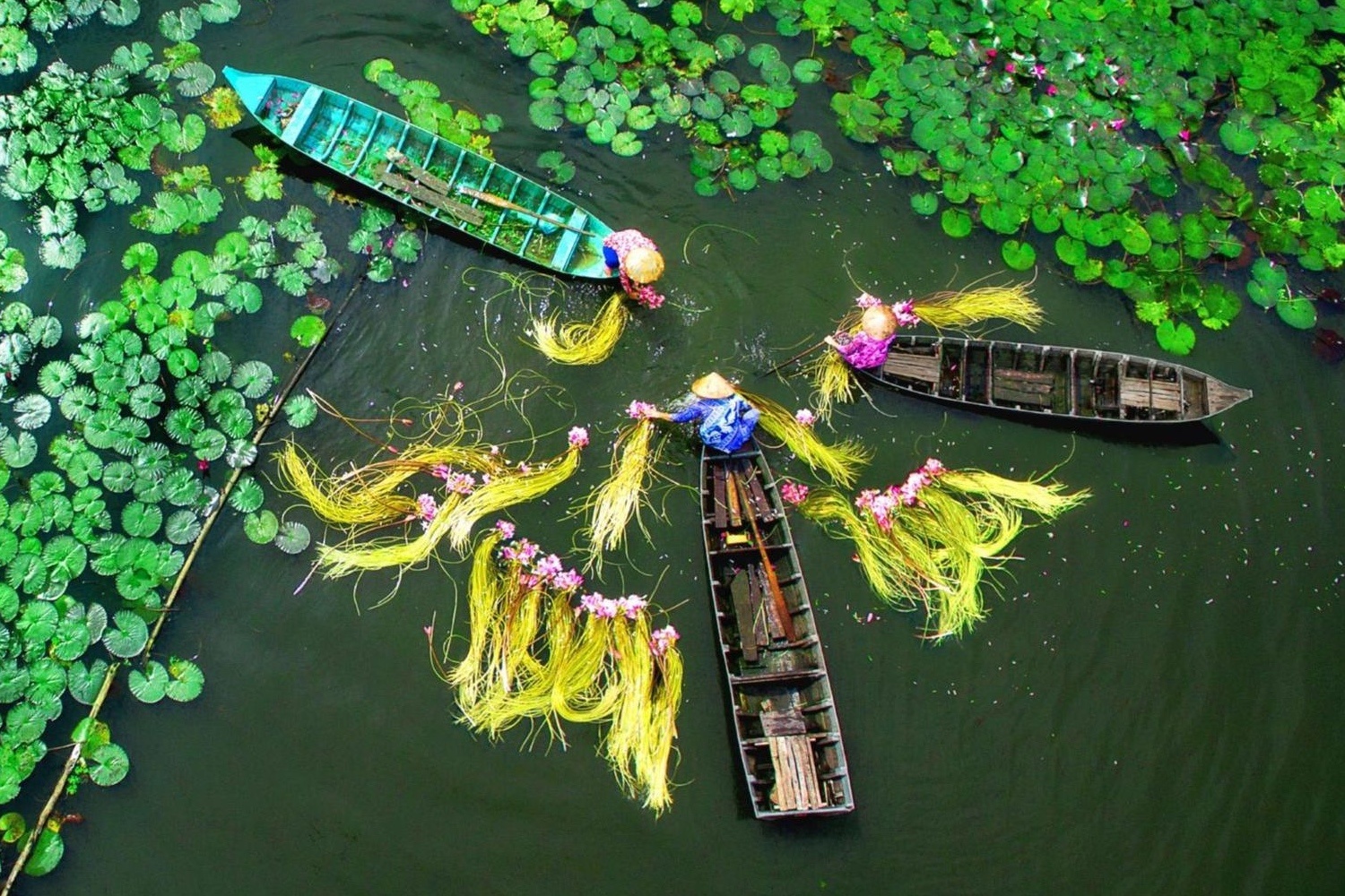 Tinh duy nhat co dia ban nam tren ca hai bo song Hau? hinh anh