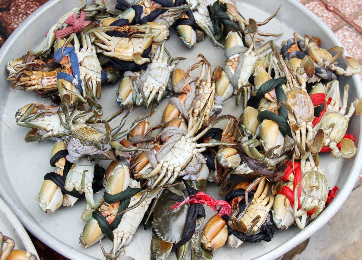 dac san ca mau anh 1