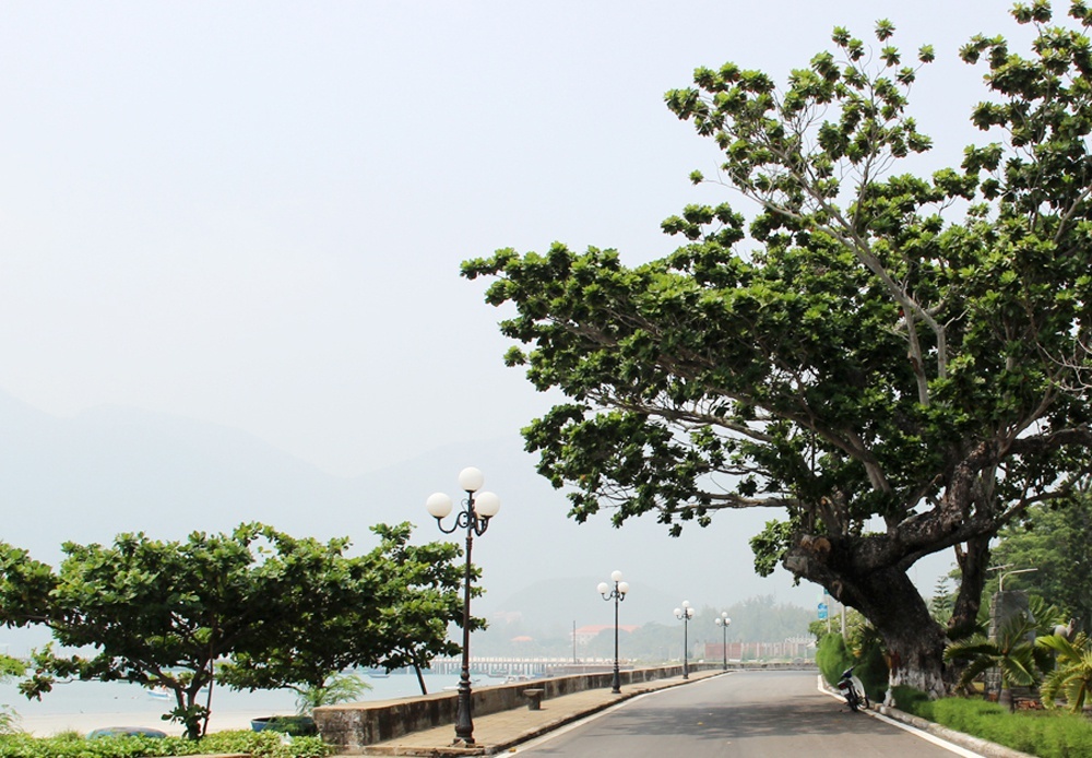 du lich con dao anh 1