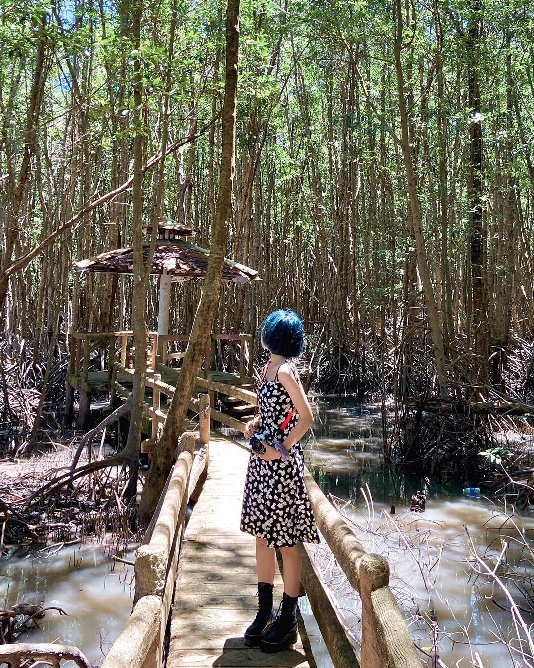 du lich ca mau anh 5