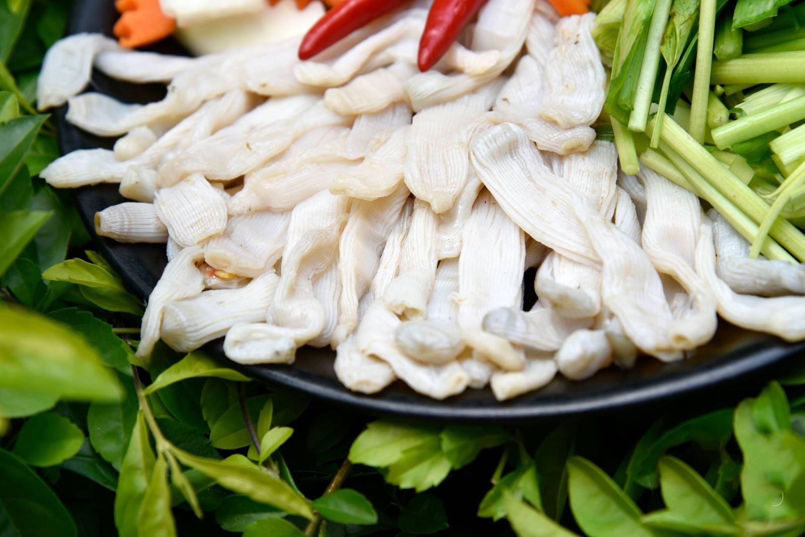 sa sung van don anh 3