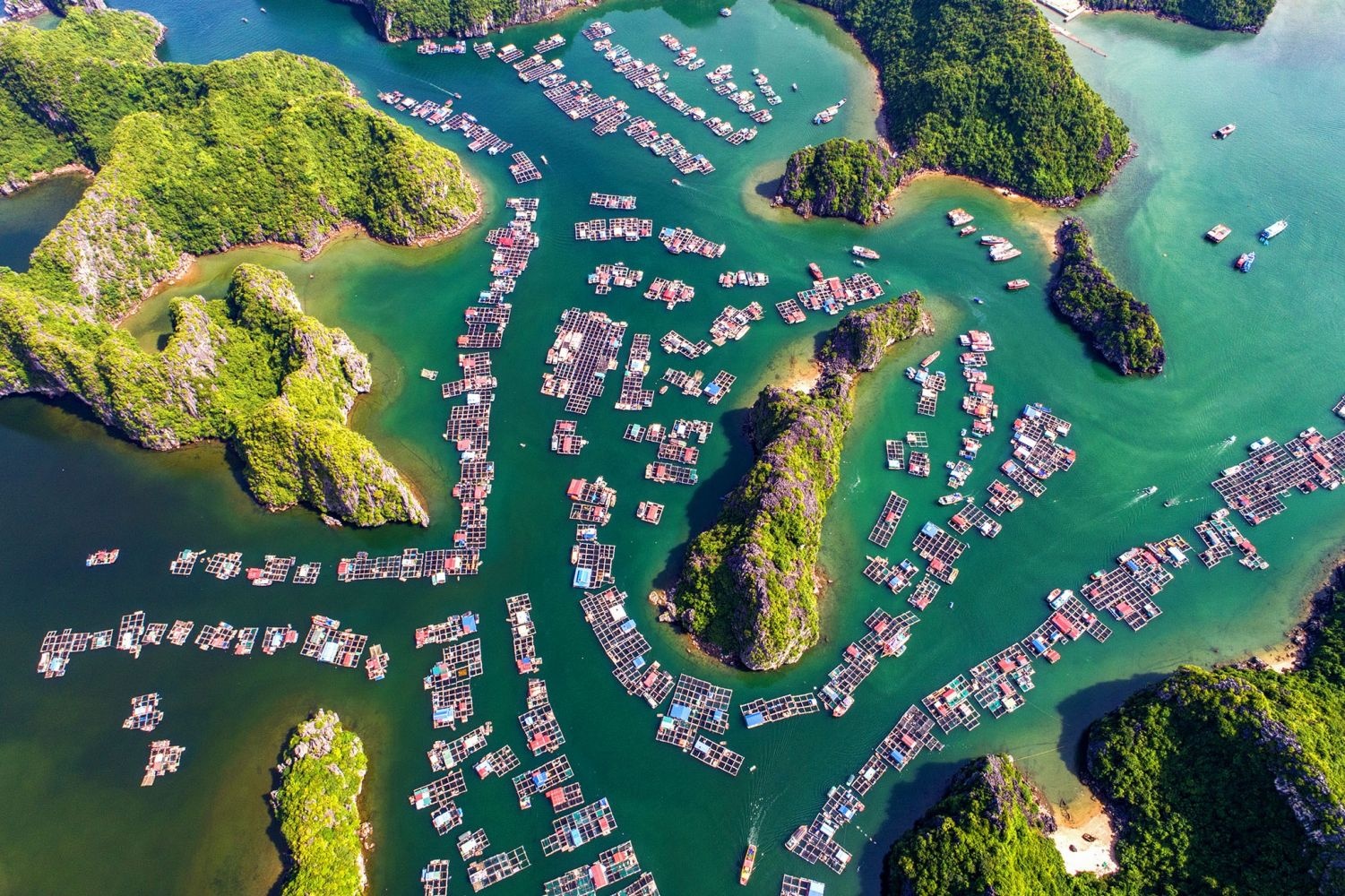 huyen dao viet nam anh 1