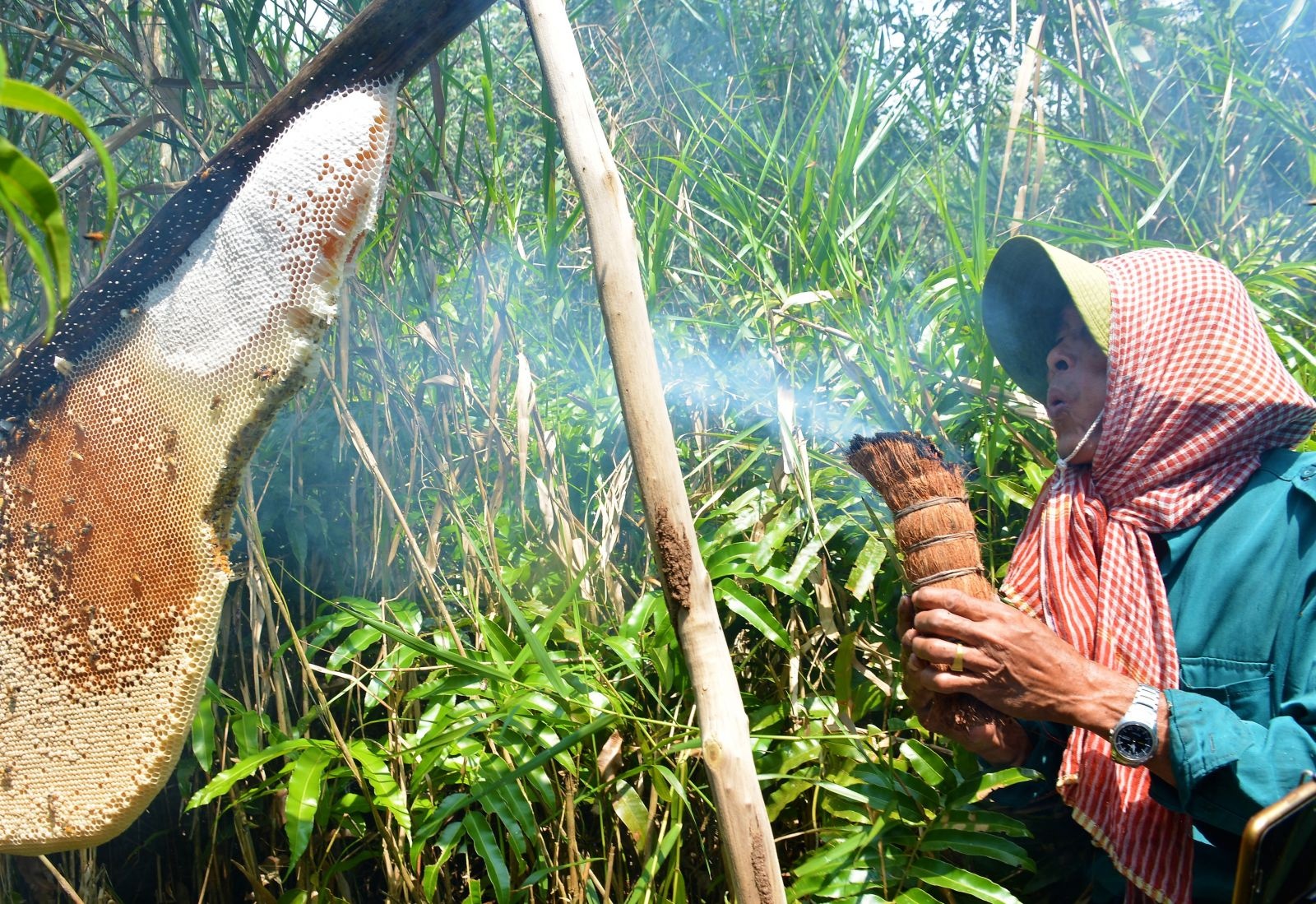 am thuc nam bo anh 5