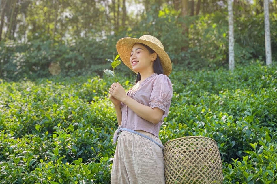 Nhung noi duoc ca ngoi la de nhat o Viet Nam hinh anh