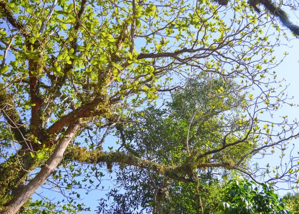ngũ hành sơn đà nẵng ảnh 4 ngu hanh son da nang anh 4