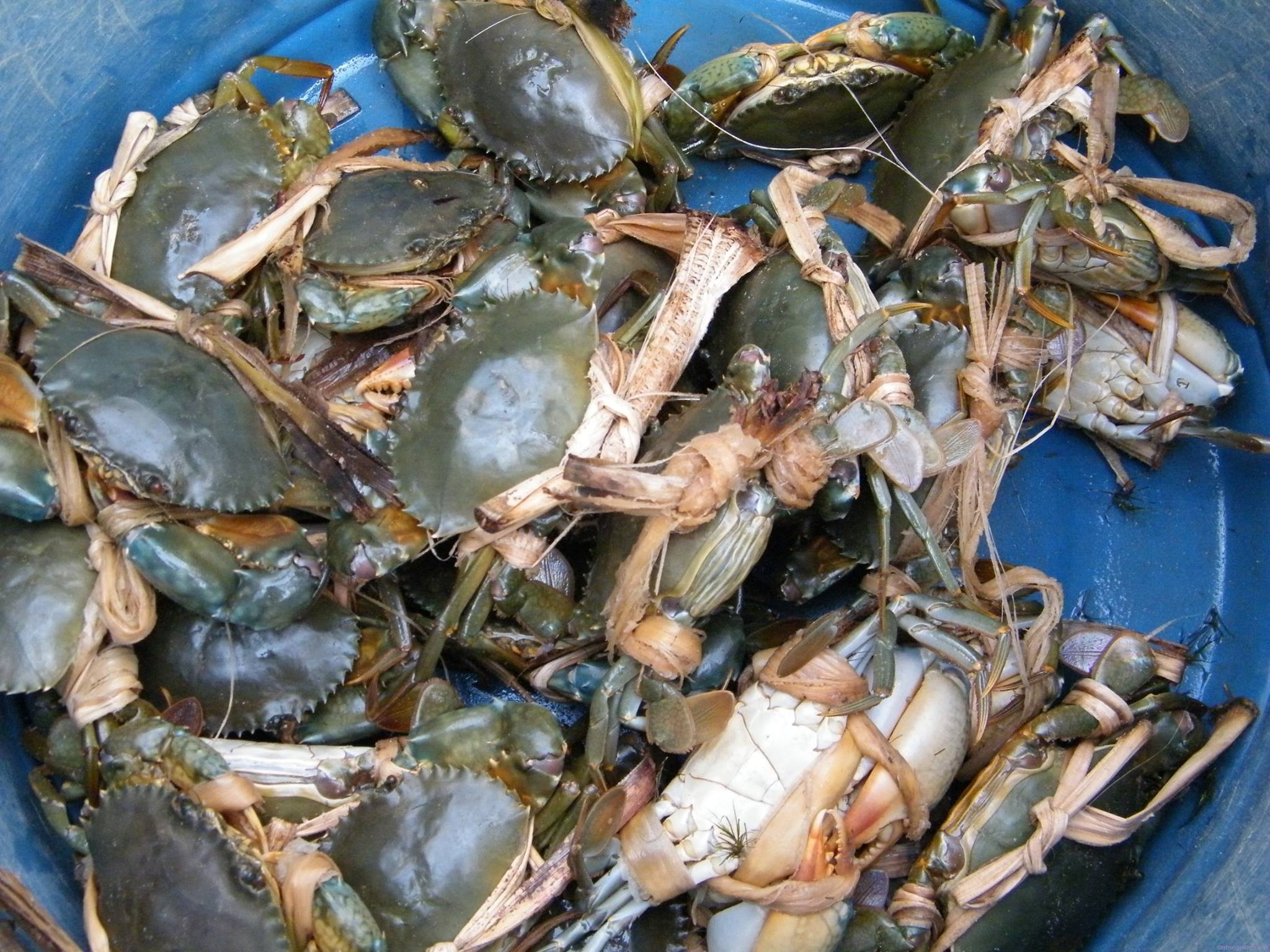 dac san ben tre anh 3