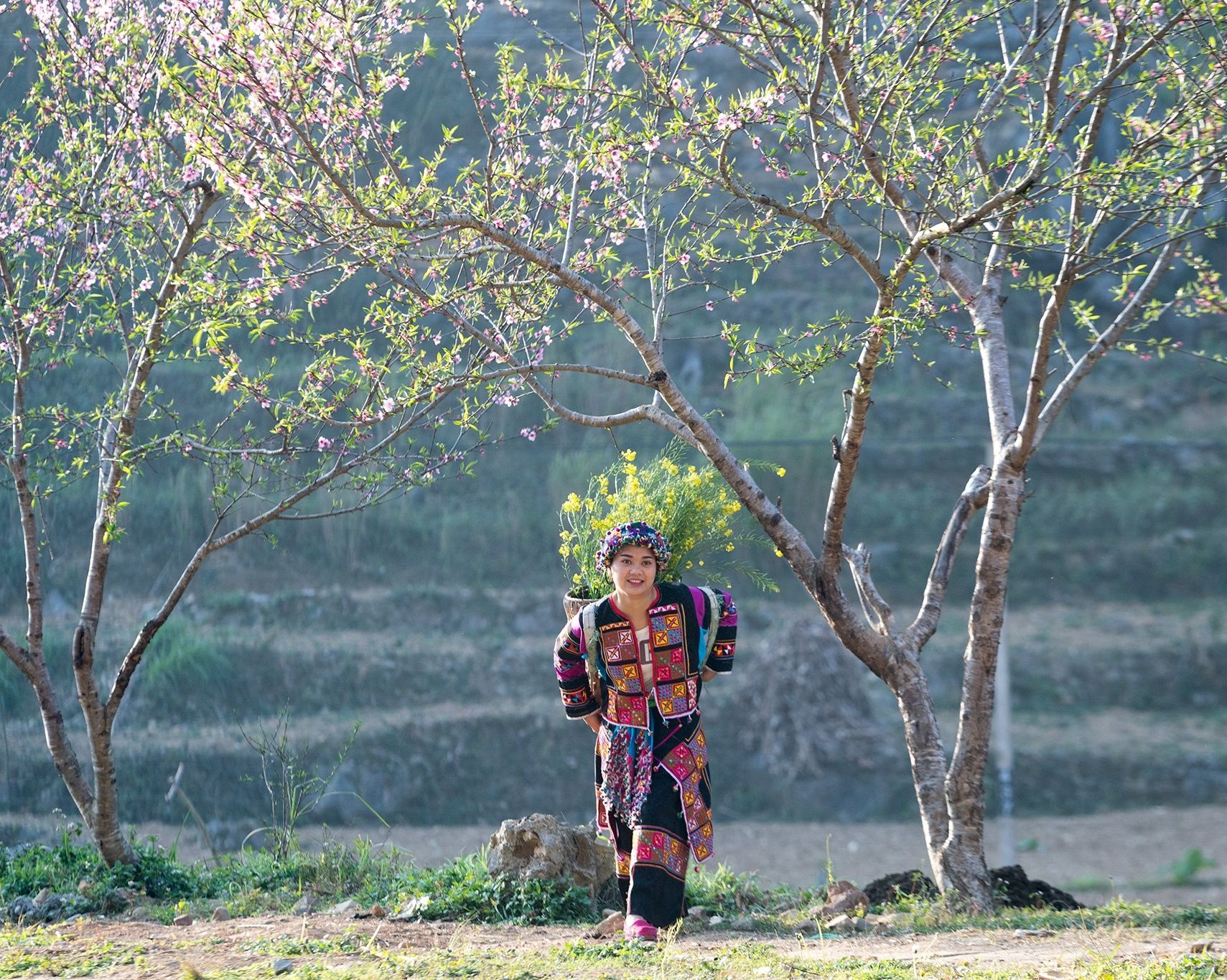 cong vien dia chat toan cau o viet nam anh 2