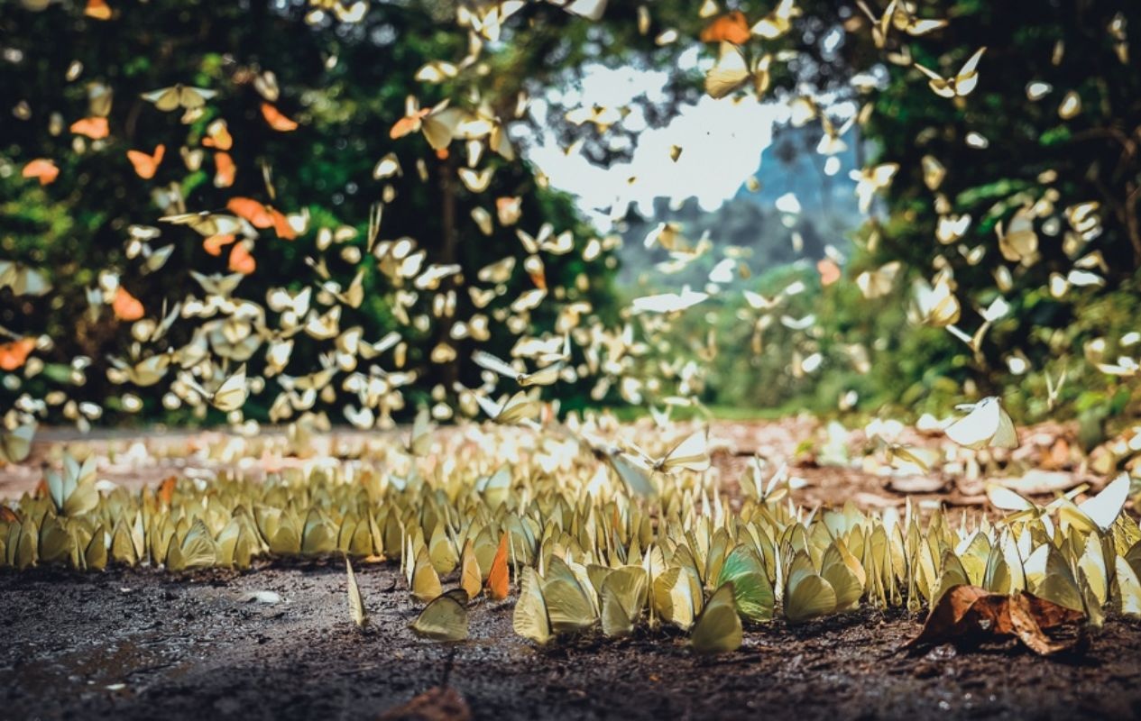 tinh co duong bo bien ngan nhat viet nam anh 6