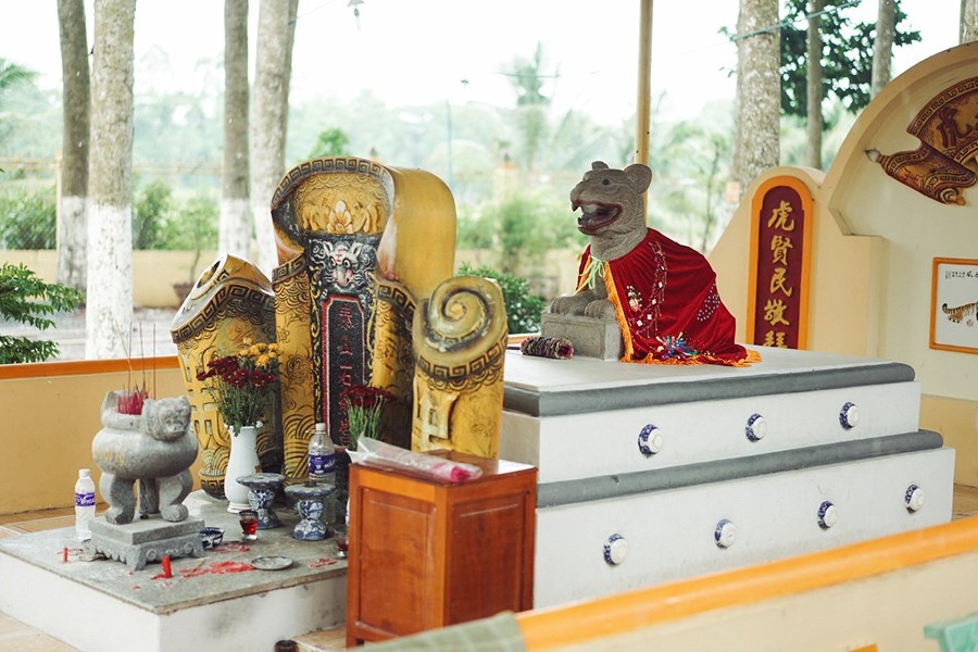 Nhung dia danh Cop, Ho ly thu o Viet Nam hinh anh