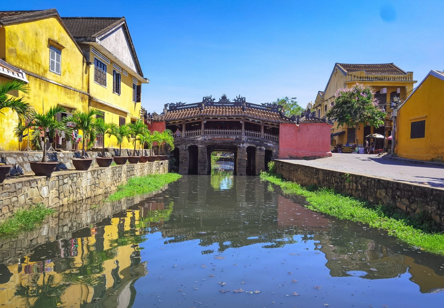 di san the gioi anh 7