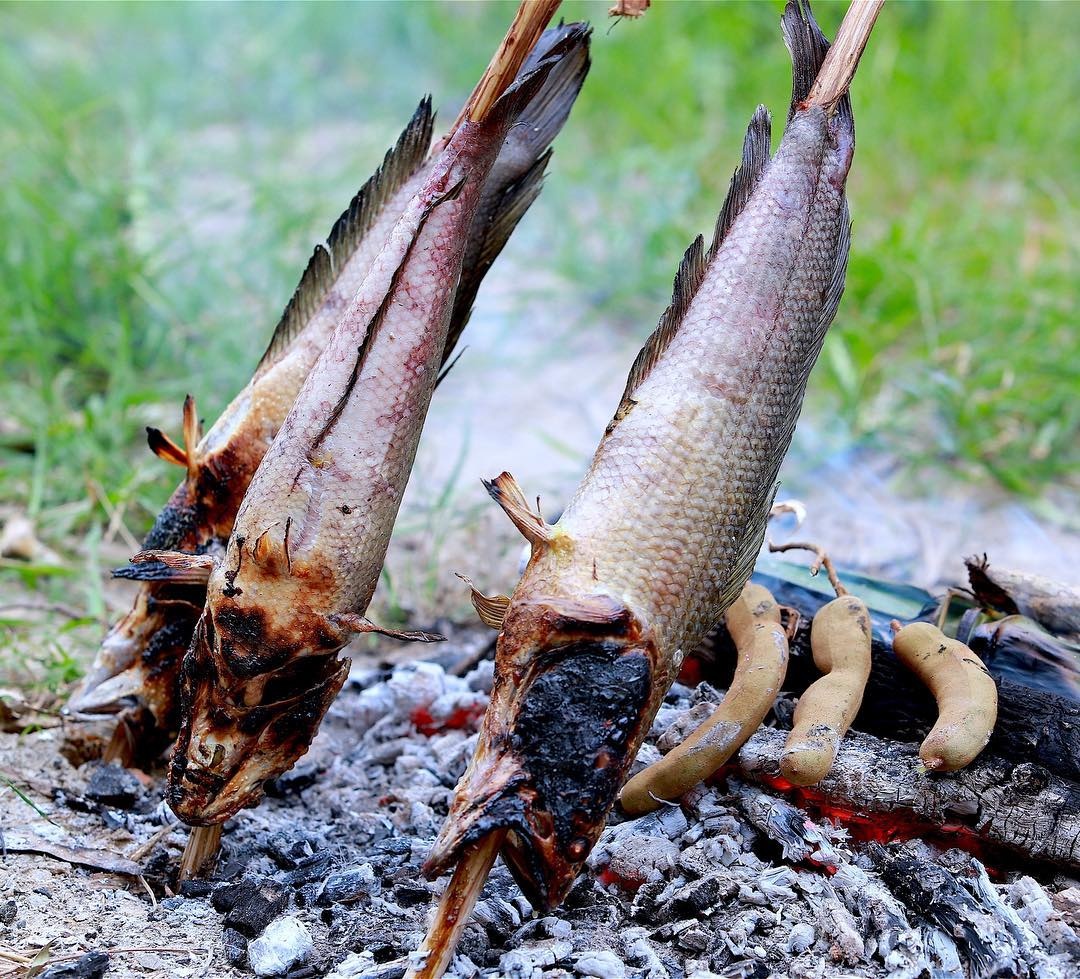 ca loc mien tay anh 1