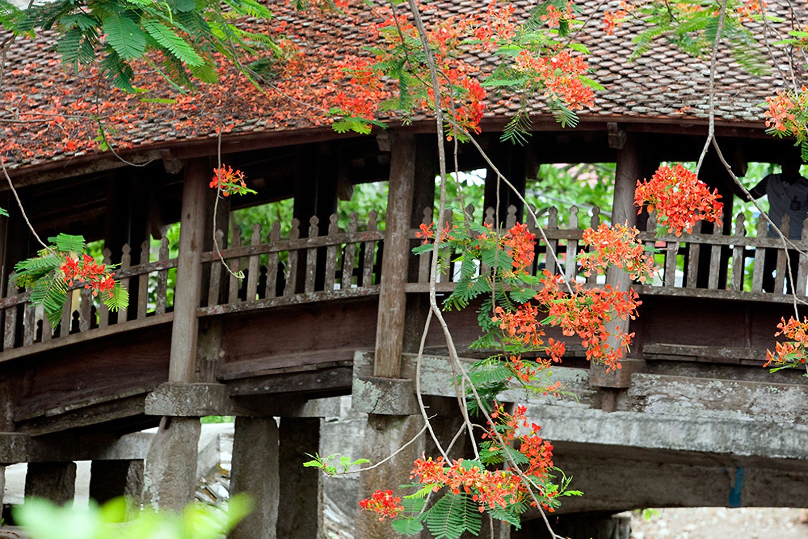Nhung cau ngoi noi tieng o Viet Nam hinh anh