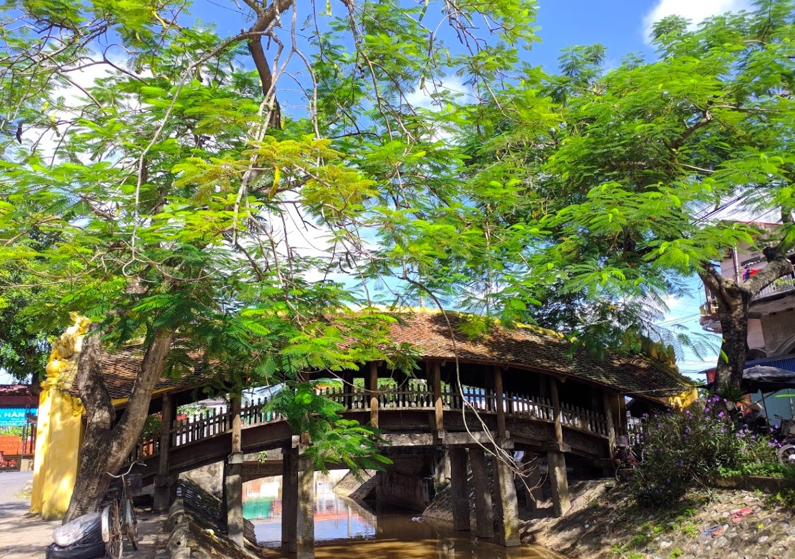 cau ngoi o viet nam anh 3