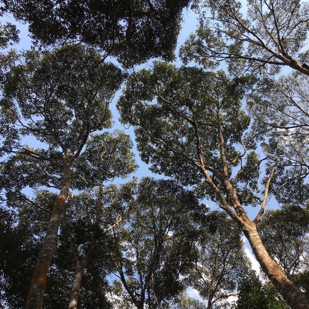 dong vat quy hiem anh 2