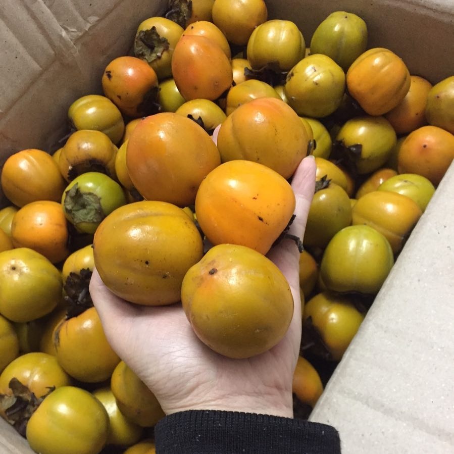 na chi lang lang son anh 2