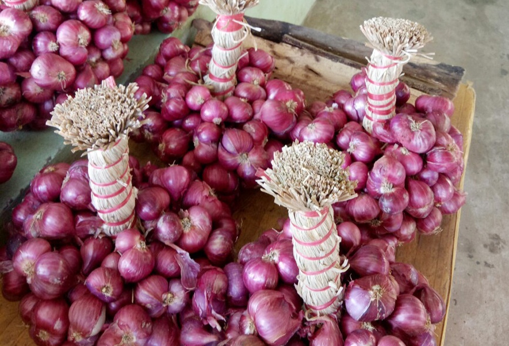 cua lo nghe an anh 7