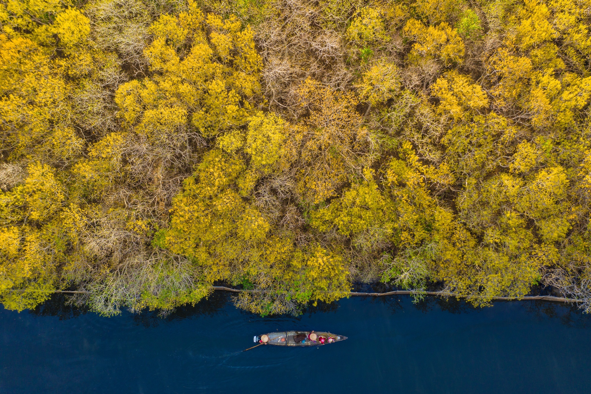 Ru Cha va nhung rung ngap man hap dan du khach hinh anh