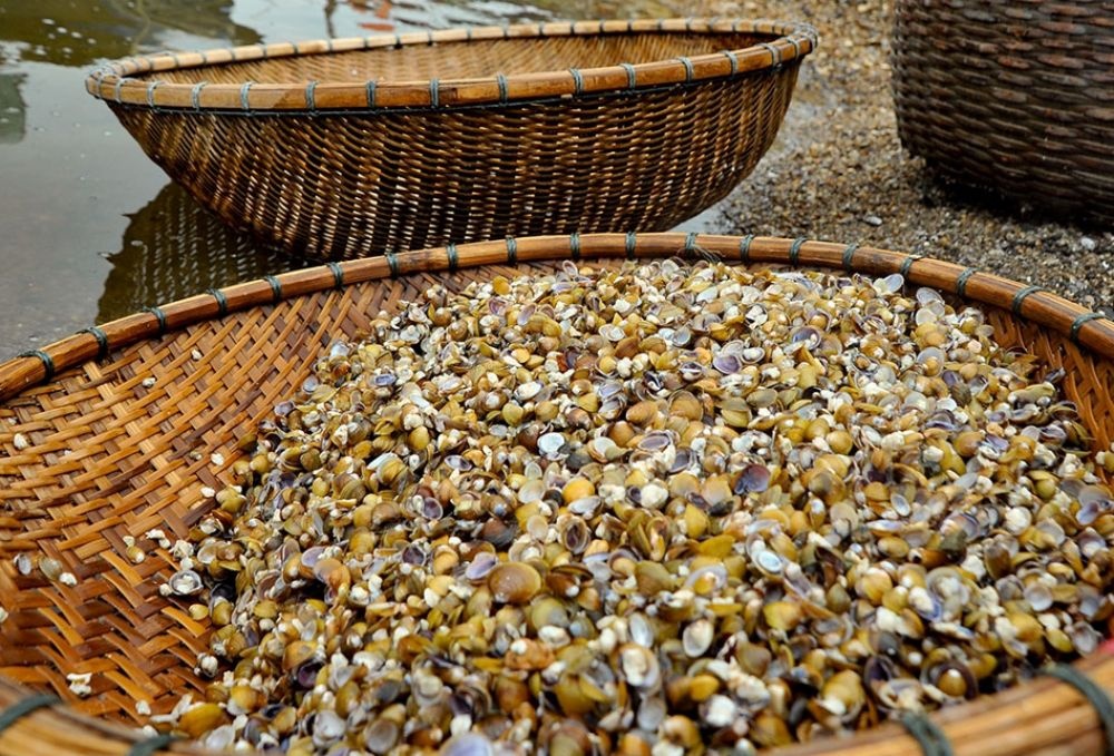 buoi phuc trach anh 7