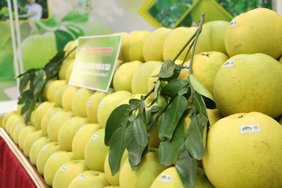 Buoi Phuc Trach la dac san tinh nao? hinh anh