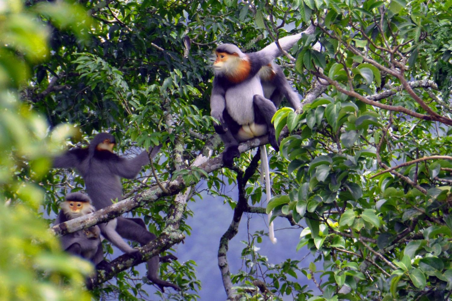 khu du tru sinh quyen the gioi anh 6